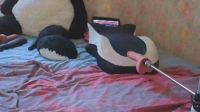 Wedgeetlili live cam on Cam4