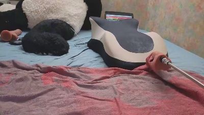 Wedgeetlili live cam on Cam4