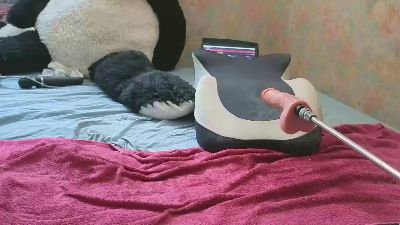 Wedgeetlili live cam on Cam4