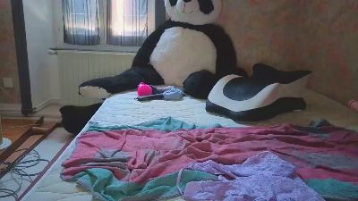 Wedgeetlili live cam on Cam4