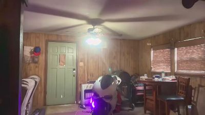 WellHello69 live cam on Cam4