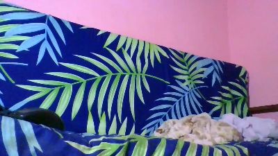 Westeben live cam on Cam4