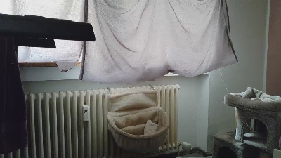 WetGerman live cam on Cam4