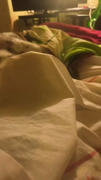 https://snapshots.xcdnpro.com/thumbnails/Whyrmm?s=2ai9twE2TMkRkmCHjukf7H2rI3iX4xwfjr/zklWunMA= Live Cam4 Model
