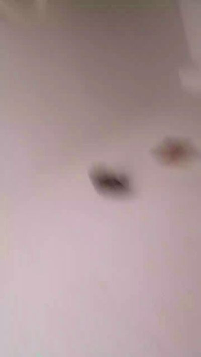 Wiilliii live cam on Cam4