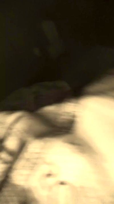 WildBULL live cam on Cam4