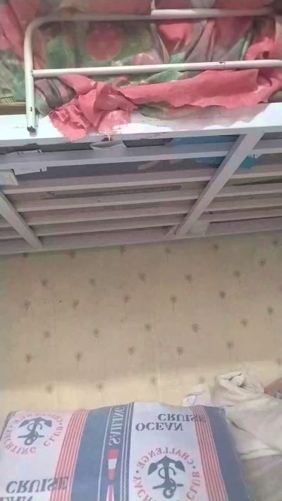 WildLady live cam on Cam4