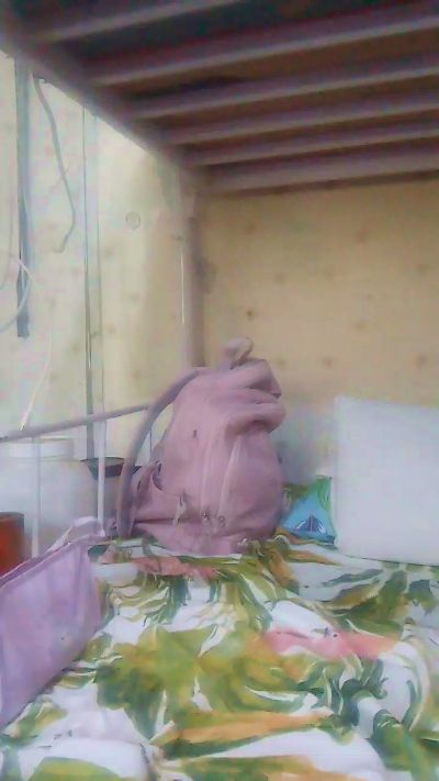 WildLady live cam on Cam4