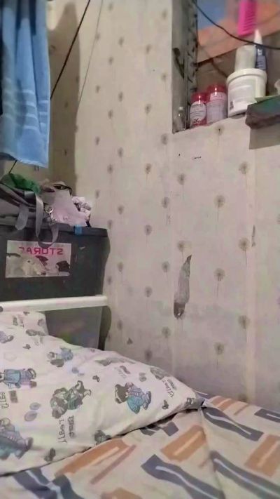 WildLady live cam on Cam4