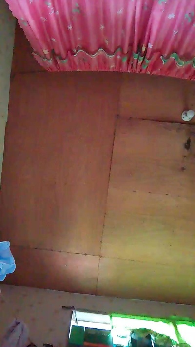 WildLady live cam on Cam4