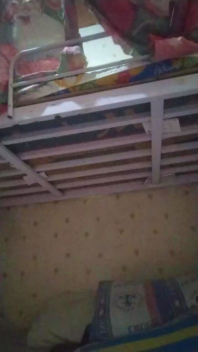 WildLady live cam on Cam4