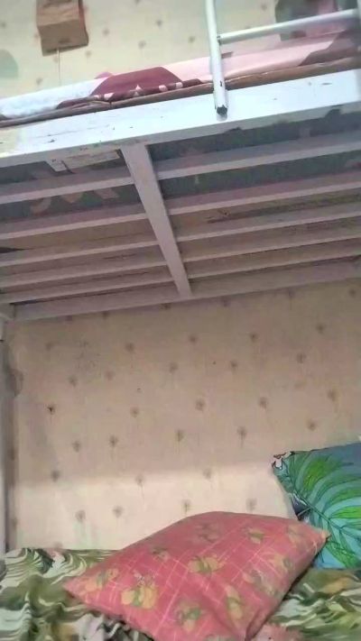 WildLady live cam on Cam4