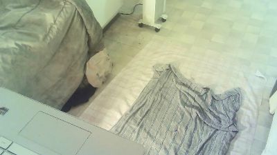 WillinglyWet live cam on Cam4