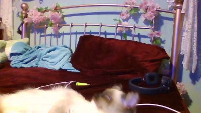 WinterWonder live cam on Cam4
