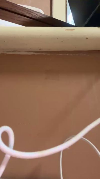 videochat adult Wolfuck 