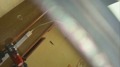 Wubbado live cam on Cam4