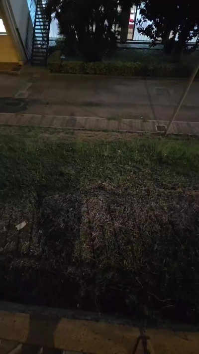 X20cmsr live cam on Cam4