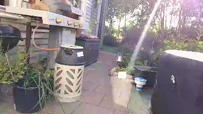 XBigcockmike live cam on Cam4