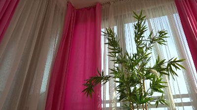 XCelline live cam on Cam4