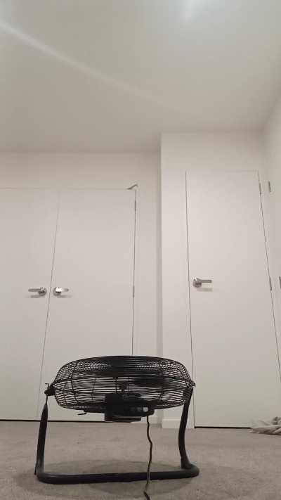 XMissyMaoriX live cam on Cam4