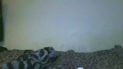 XXXRyanYoung live cam on Cam4
