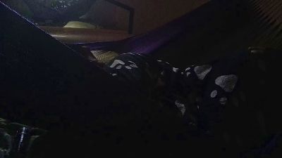 XXXVO777 live cam on Cam4