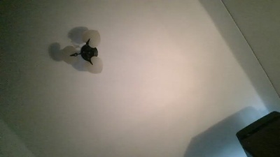 Ximenahotonly live cam on Cam4