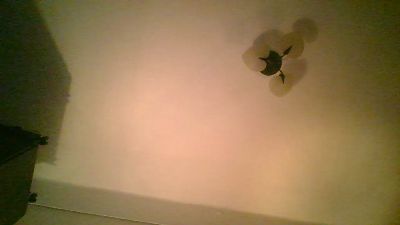 Ximenahotonly live cam on Cam4