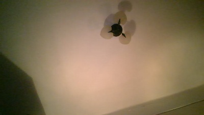 Ximenahotonly live cam on Cam4
