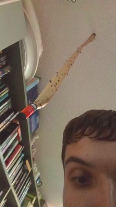 Xkxcper2225 live cam on Cam4