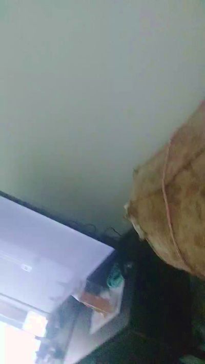 XraEd7794 live cam on Cam4