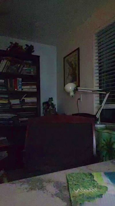 YE_OLDE_TROLL live cam on Cam4