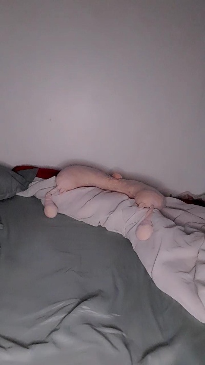 Yanina_1 live cam on Cam4