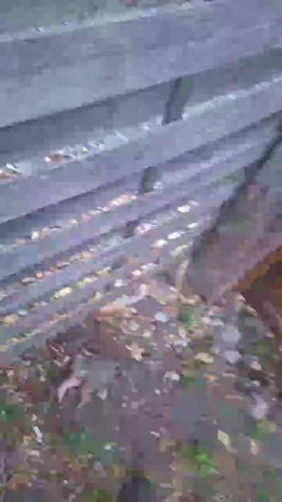 Yayamojito live cam on Cam4