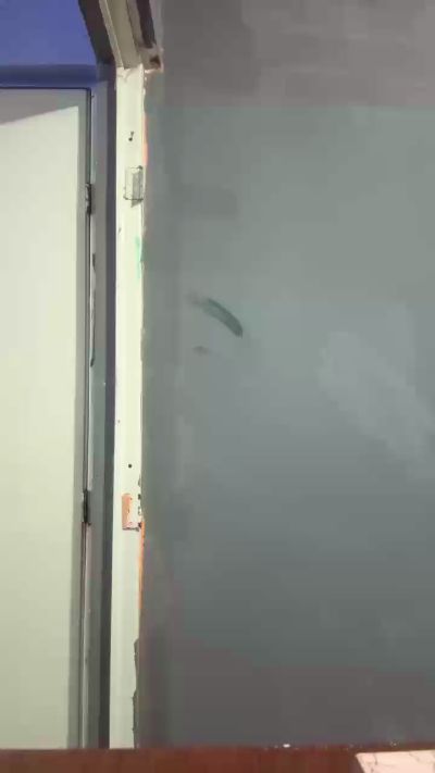 Yoss2424 live cam on Cam4