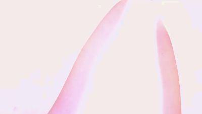 ZaraReignn live cam on Cam4