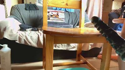 Zeigegeiler69 live cam on Cam4