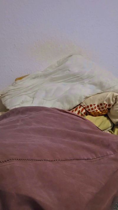 Zeromunchen live cam on Cam4