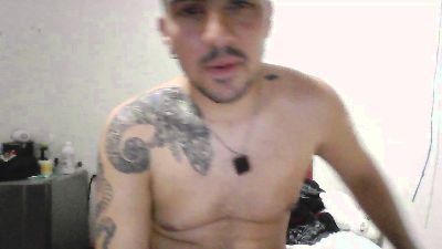 Zinsabear live cam on Cam4