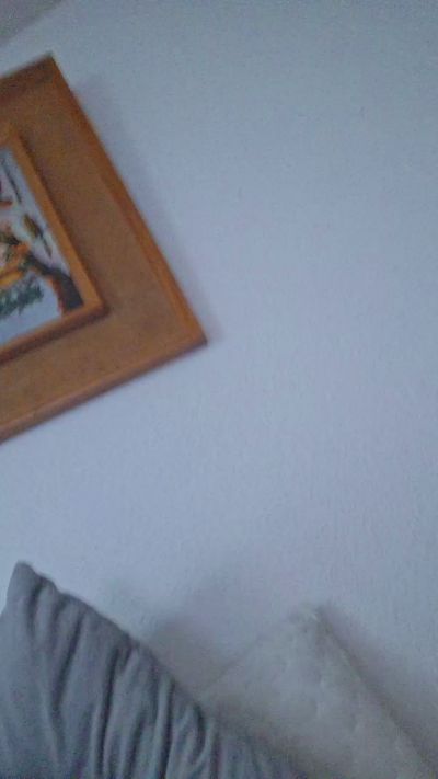 Zoebla live cam on Cam4