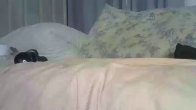 Zurifoll live cam on Cam4