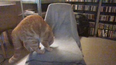 abe1977 live cam on Cam4