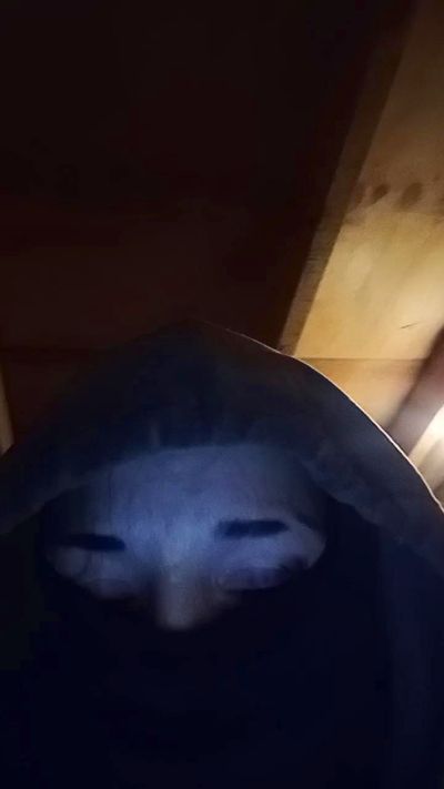 abgonzalezr live cam on Cam4