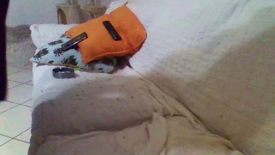 abruzzocamhot live cam on Cam4
