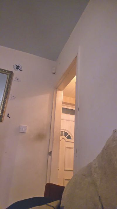 adavid30 live cam on Cam4
