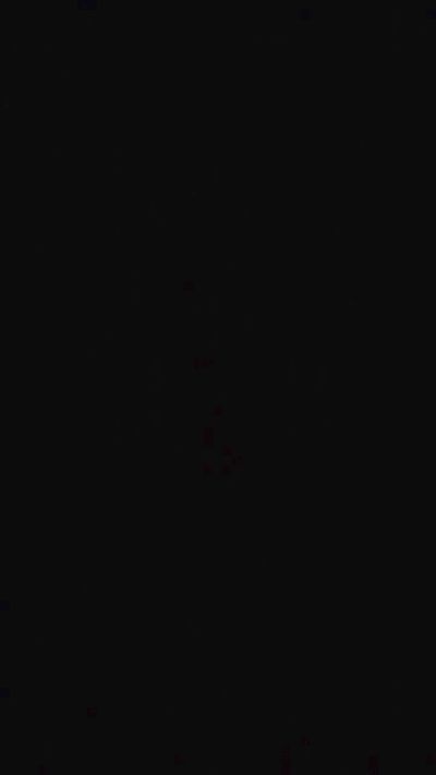 agusttinak3 live cam on Cam4
