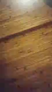 aidi5 live cam on Cam4