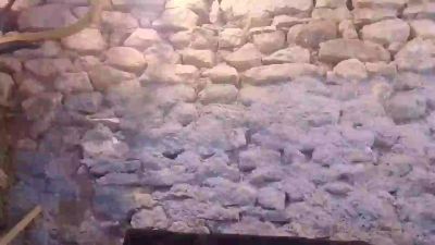 aigledauphin21 live cam on Cam4
