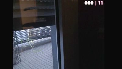 airmaxtn live cam on Cam4