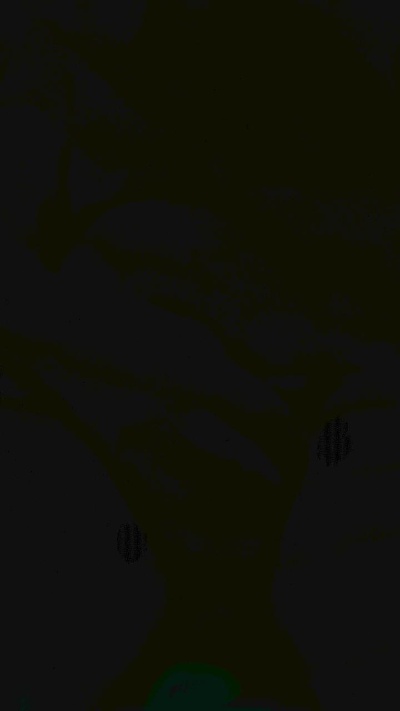 akiaki5 live cam on Cam4